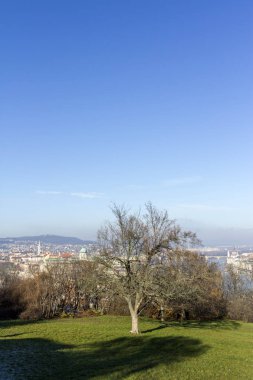 Gellert Tepesi 'nden Budapeşte' nin silüeti