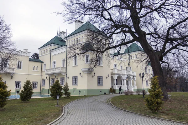 Palace in Acsaujlak — Stock Photo, Image