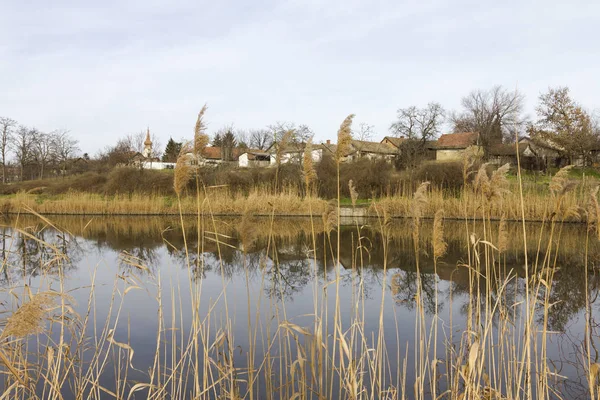 Szegvar nehirde çevresinde — Stok fotoğraf