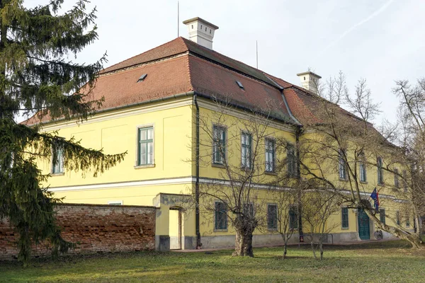 Szegvar palace — Zdjęcie stockowe