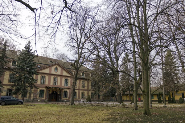 Karolyi Weiss palace — Stock Photo, Image