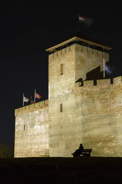 Gyula castle by night — Stock Photo, Image