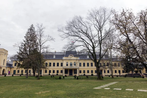 Almasy palace w mieście Gyula — Zdjęcie stockowe