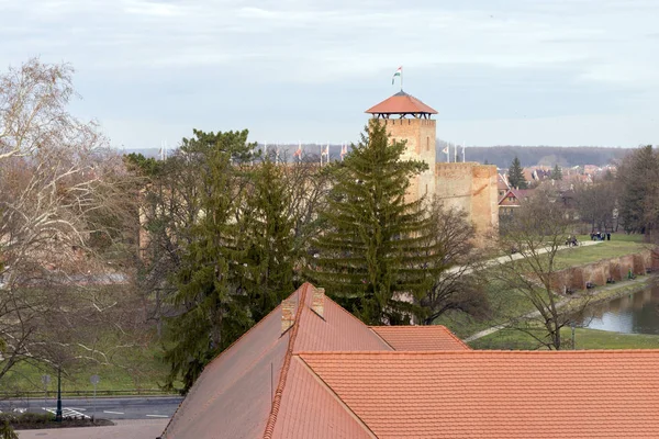 Castillo de Gyula — Foto de Stock