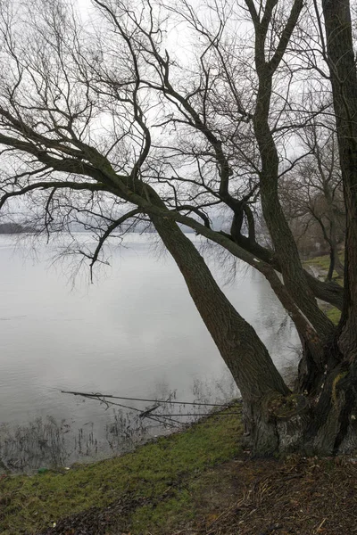 Donau — Stockfoto