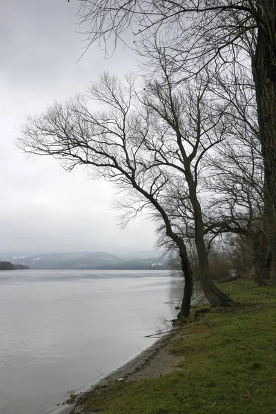 Fiume Danubio — Foto Stock