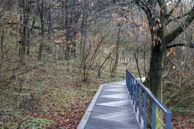 Ahşap pathwalk Somogyvar