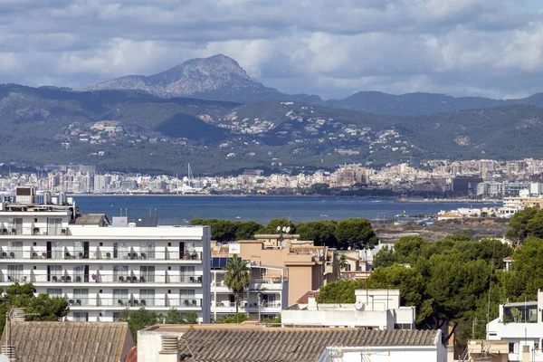 Bir Palma de mallorca — Stok fotoğraf