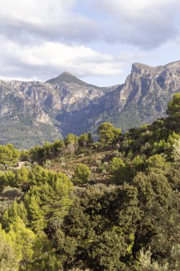Serra de Tramuntana Dağları