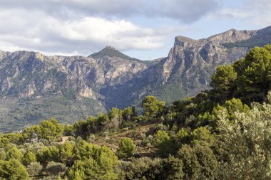 Serra de Tramuntana Dağları