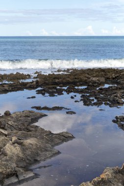 Mallorca 'da Can Picafort Plajı