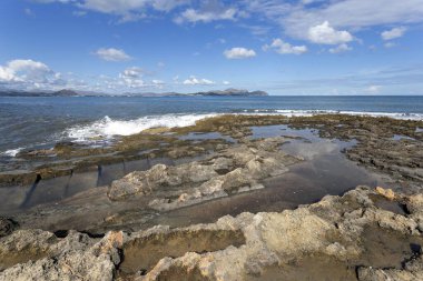 Mallorca 'da Can Picafort Plajı