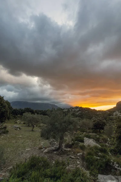 Mallorca dağlarının üzerinde güzel bir gün batımı
