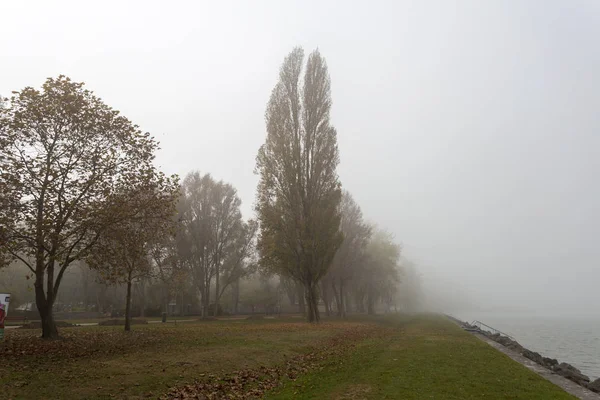 Mglisty poranek nad Balatonem — Zdjęcie stockowe