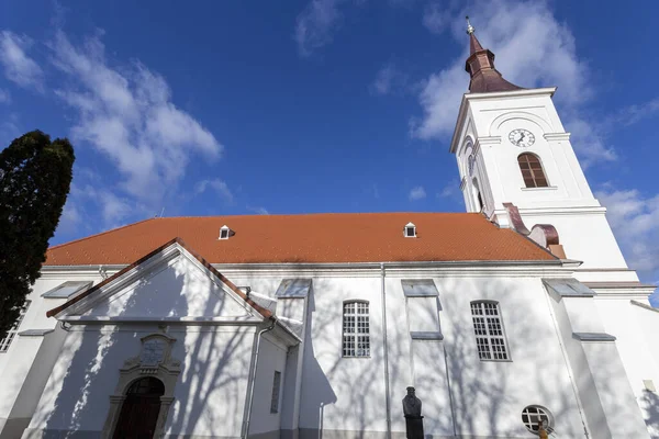 Reformerad kyrka i byn Domsod — Stockfoto