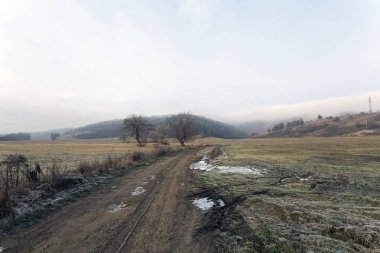 Kış gününde soğuk bir yol.