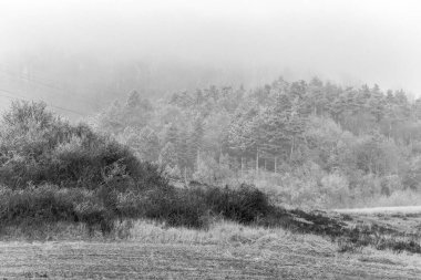 Kış gününde soğuk tepeler