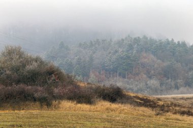 Kış gününde soğuk tepeler