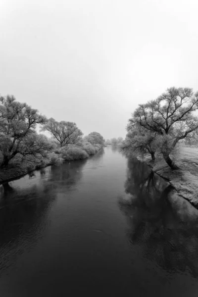 Mroźne drzewa wzdłuż rzeki Sajo w zimowy dzień — Zdjęcie stockowe