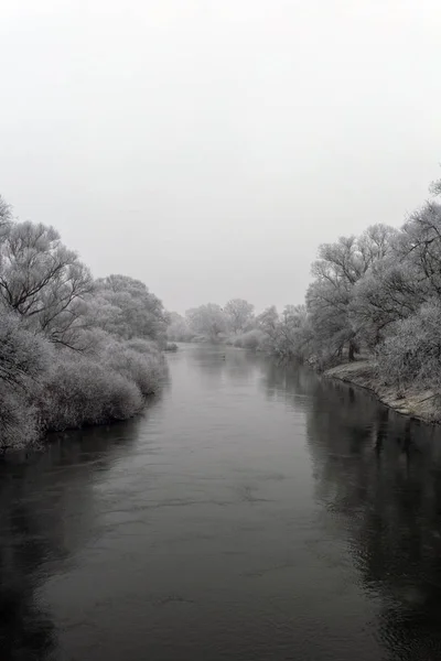Frosty trees along the river Sajo on a winter day — Stock Photo, Image