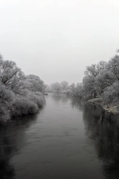 Frosty trees along the river Sajo on a winter day — 스톡 사진