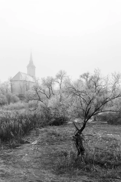 Frosty trees and bushes around the church of  Sajopuspoki on a w — 스톡 사진