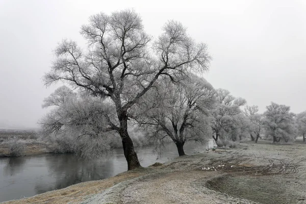 Frosty trees along the river Sajo on a winter day — 스톡 사진