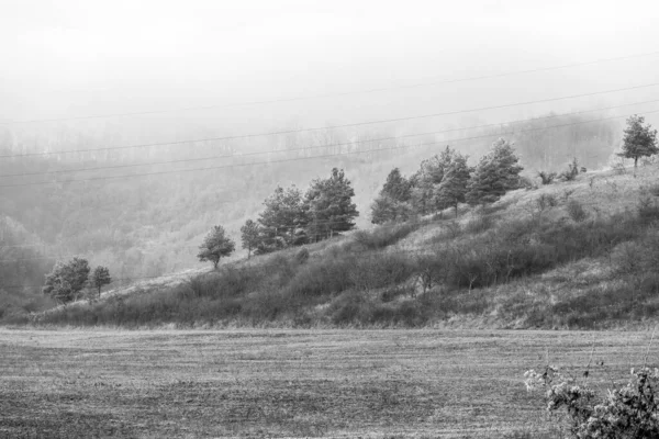 Collines gelées un jour d'hiver — Photo