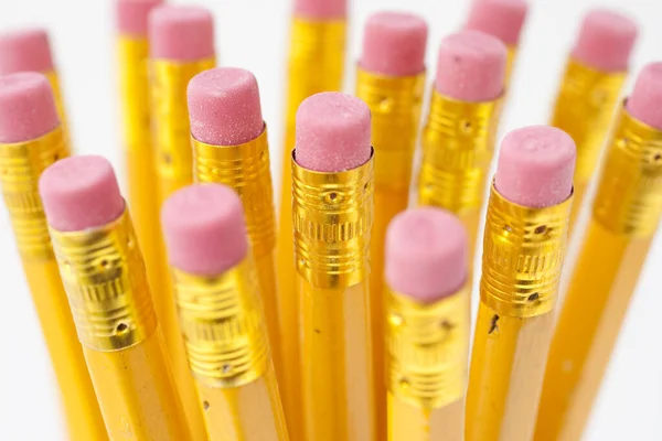 Yellow pencils isolated on white background Stock Image