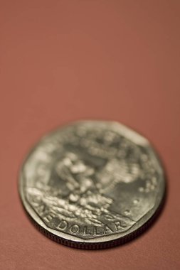 One dollar coin with selective focus