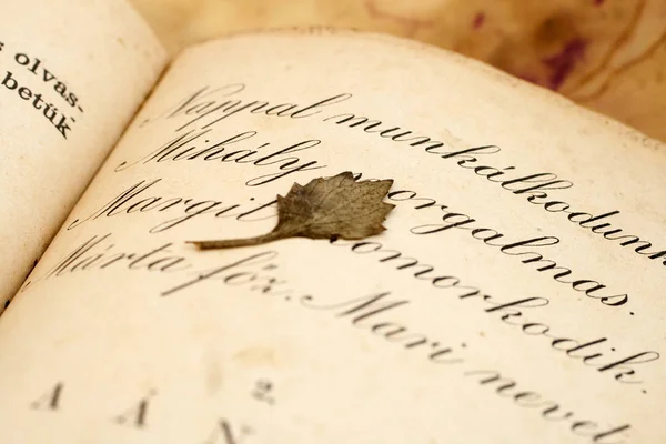 Close up shot of a vintage book — Stock Photo, Image