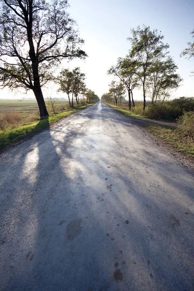 Weg op de Grote Hongaarse Vlakte in Hongarije — Stockfoto