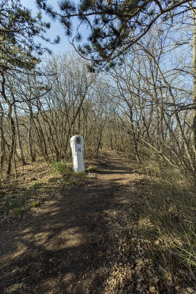 Hiking trail in the Buda Hills near Budapest — Stockfoto