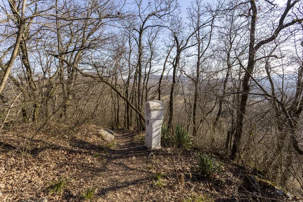 Wandelpad in de Buda Hills bij Boedapest — Stockfoto