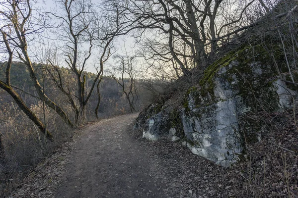 Wanderweg in den Budaer Hügeln in der Nähe von Budapest — Stockfoto
