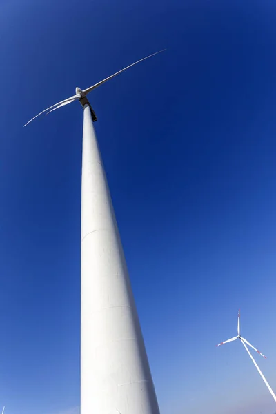Wind turbine spinning for renewable electricity production — 图库照片