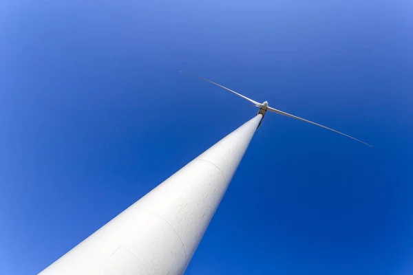 Wind turbine spinning for renewable electricity production — 图库照片