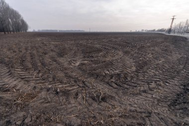 Donmuş toprak ve traktör lastik izleri bir kış günü.