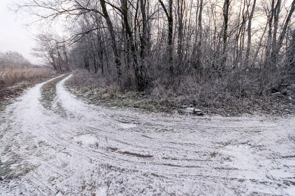 Camino Invierno Campo Húngaro — Foto de Stock