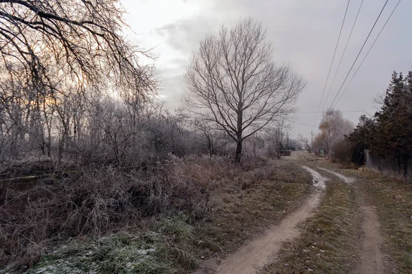 Estrada Inverno Campo Húngaro — Fotografia de Stock