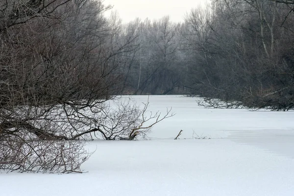헝가리 칼라스 근처에 다뉴브강 유역의 얼어붙은 — 스톡 사진