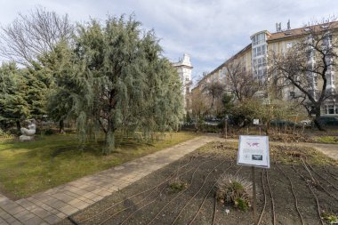 Macaristan 'ın Budapeşte kentindeki Botanik Bahçesi (Fuveszkert).