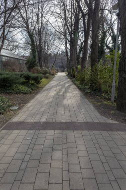 Macaristan 'ın Budapeşte kentindeki Botanik Bahçesi (Fuveszkert).