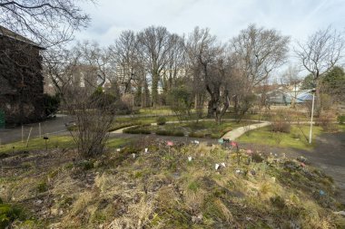 Macaristan 'ın Budapeşte kentindeki Botanik Bahçesi (Fuveszkert).