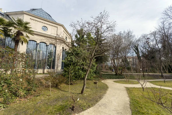 Serre Jardin Botanique Fuveszkert Budapest Hongrie — Photo