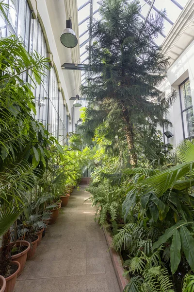 Botanischer Garten Fuveszkert Budapest Ungarn — Stockfoto