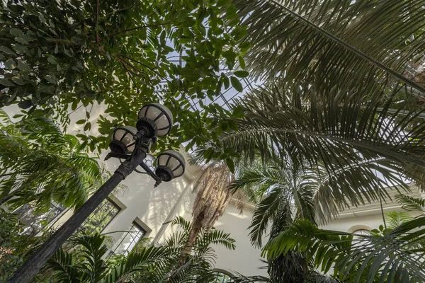 Botanická Zahrada Fuveszkert Budapešti Maďarsko — Stock fotografie