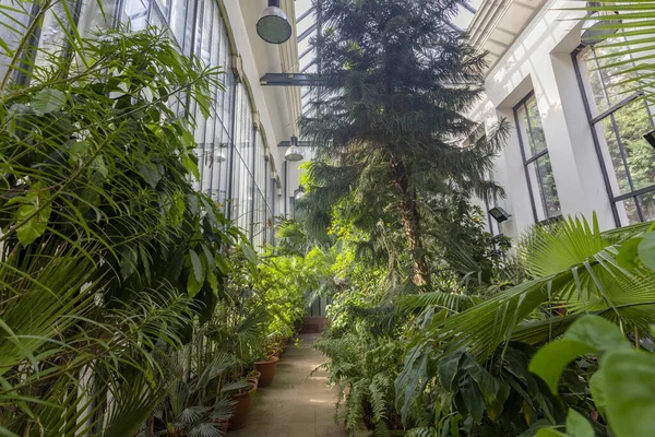 헝가리 페스트에 식물원 — 스톡 사진