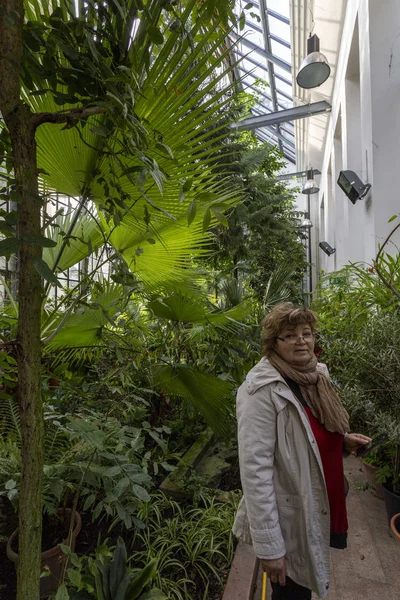 Ogród Botaniczny Fuveszkert Budapeszcie Węgry — Zdjęcie stockowe