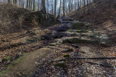 Macaristan 'ın Mecsek dağlarındaki Melegmanyi Vadisi' nin şelalesi.